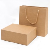 SKEPB006  Fine paper bags Kraft paper boxes Fashion shopping bags Kraft paper bags Eco bag manufacturers back view